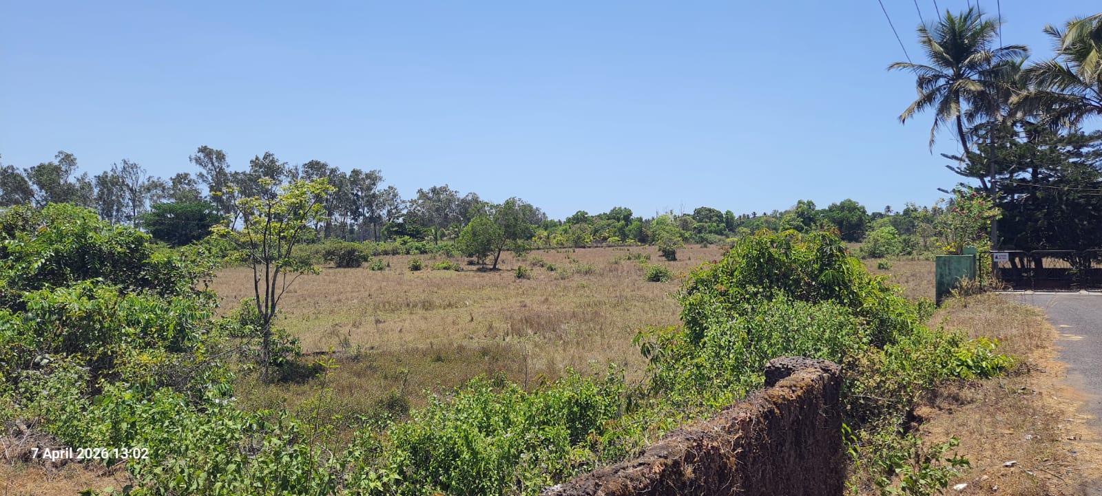 Serene Settlement Plot with Beautiful Field Views on Two Sides