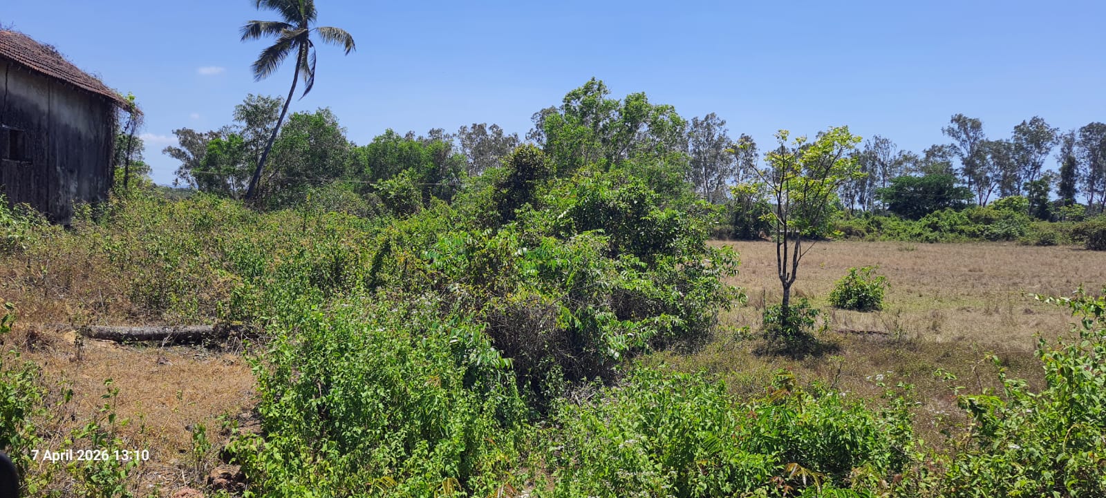 Serene Settlement Plot with Beautiful Field Views on Two Sides