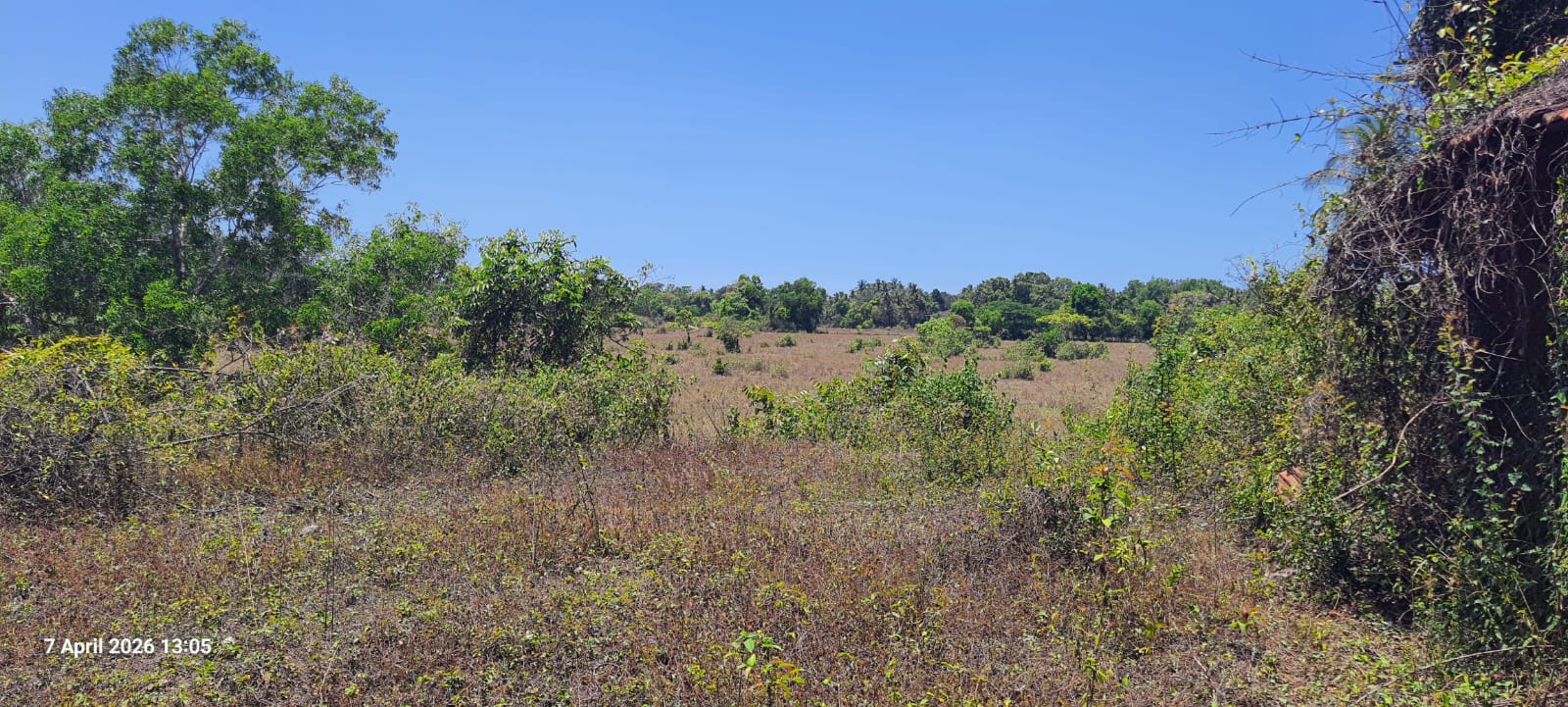 Serene Settlement Plot with Beautiful Field Views on Two Sides